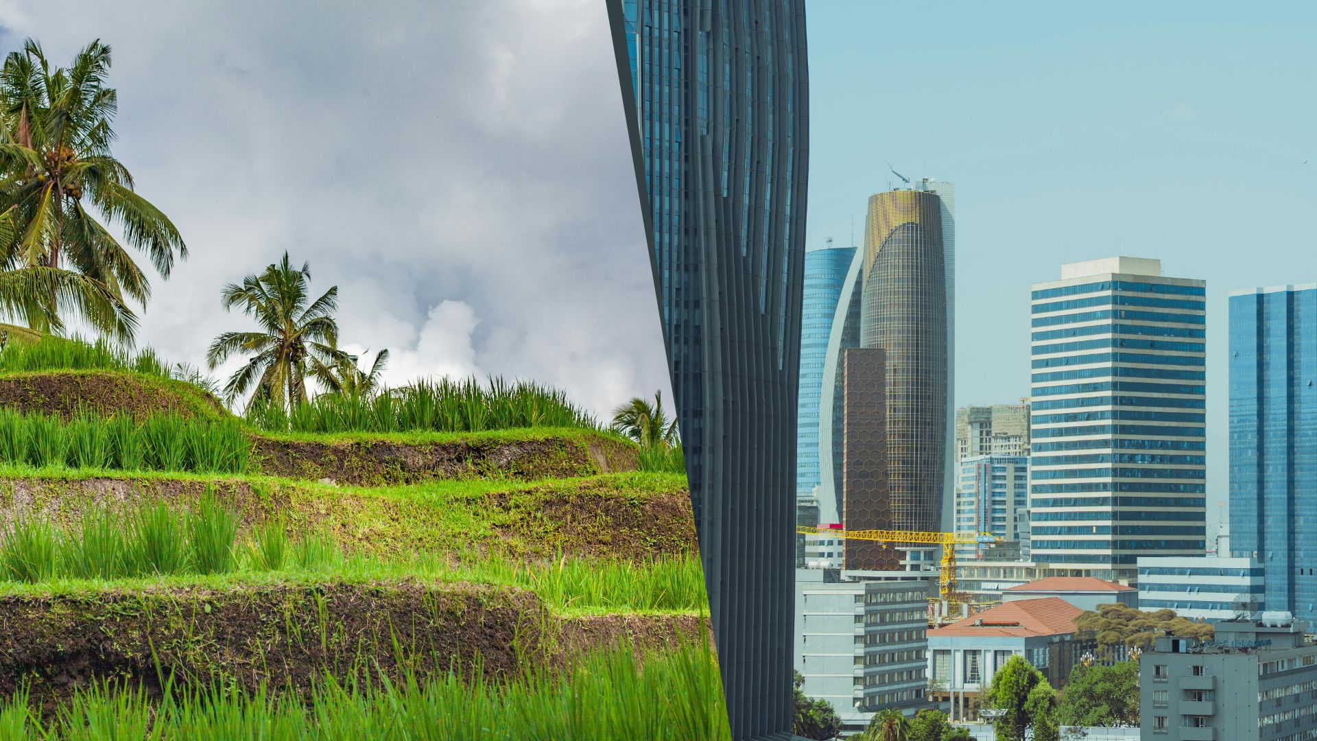 Dari Rawa ke Raksasa Ekonomi: Cerita Tanah Patriot yang Jarang Terungkap